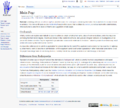 Look of Radlines on the day of its creation.png